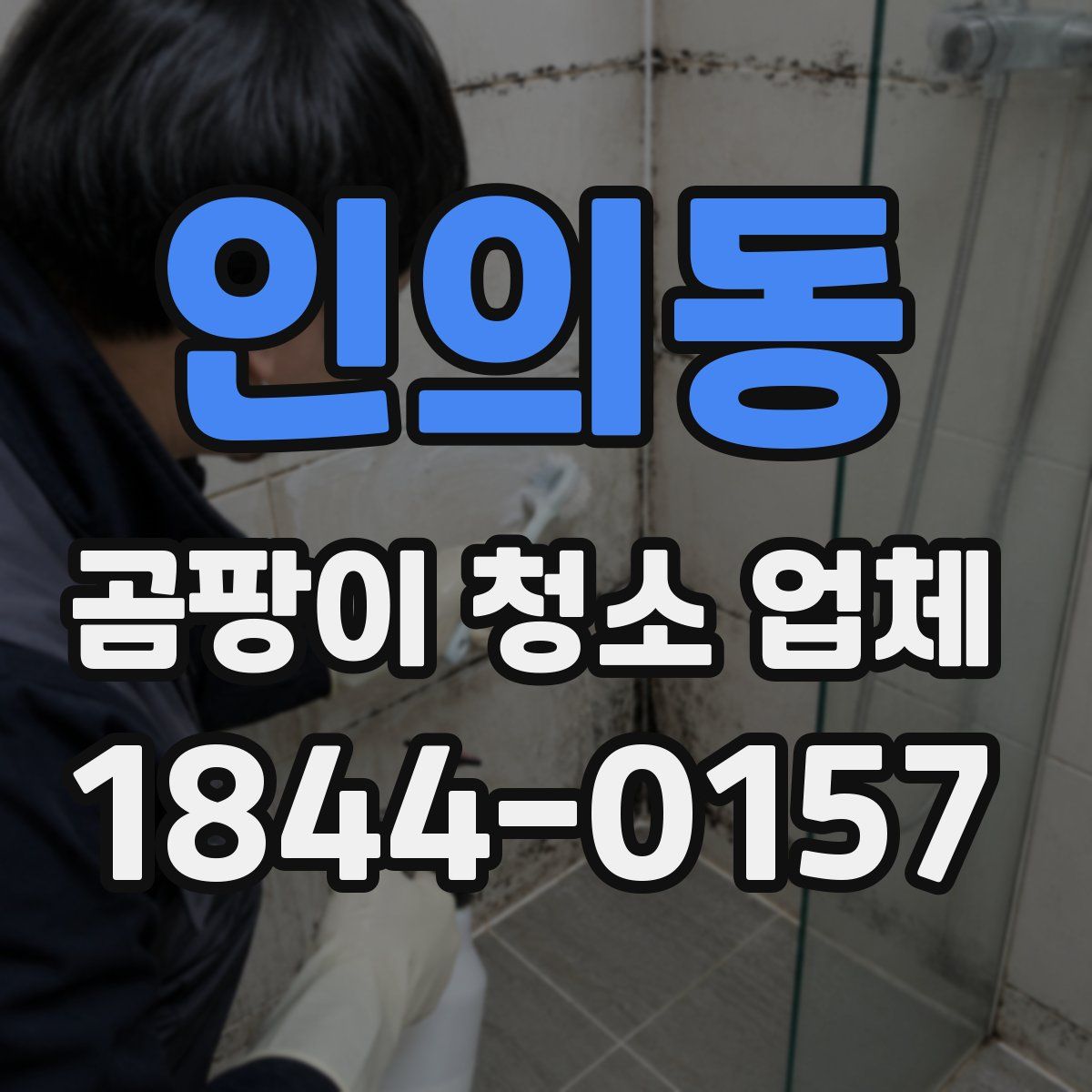 인의동 곰팡이 청소 업체