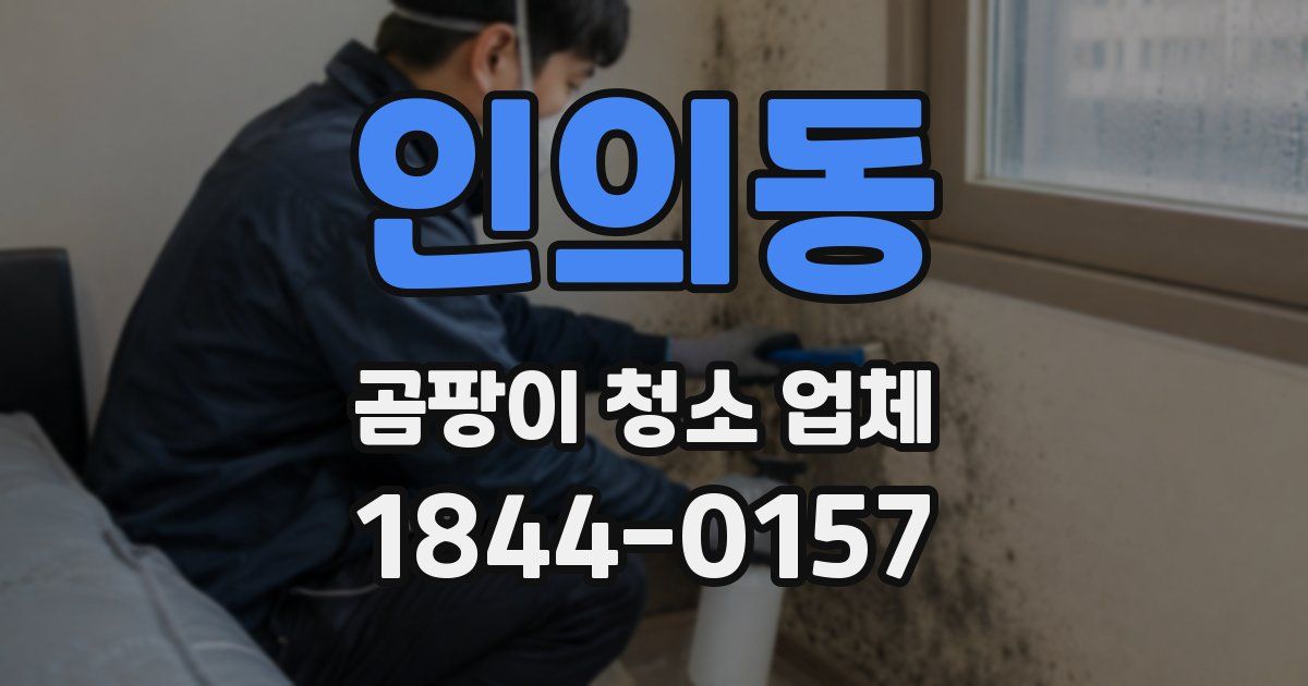 인의동 곰팡이 청소 업체