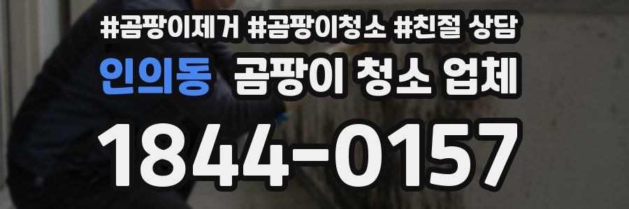 인의동 곰팡이 청소 업체