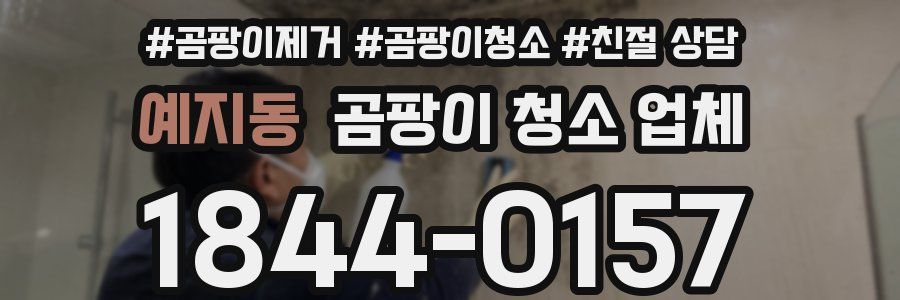 예지동 곰팡이 청소 업체
