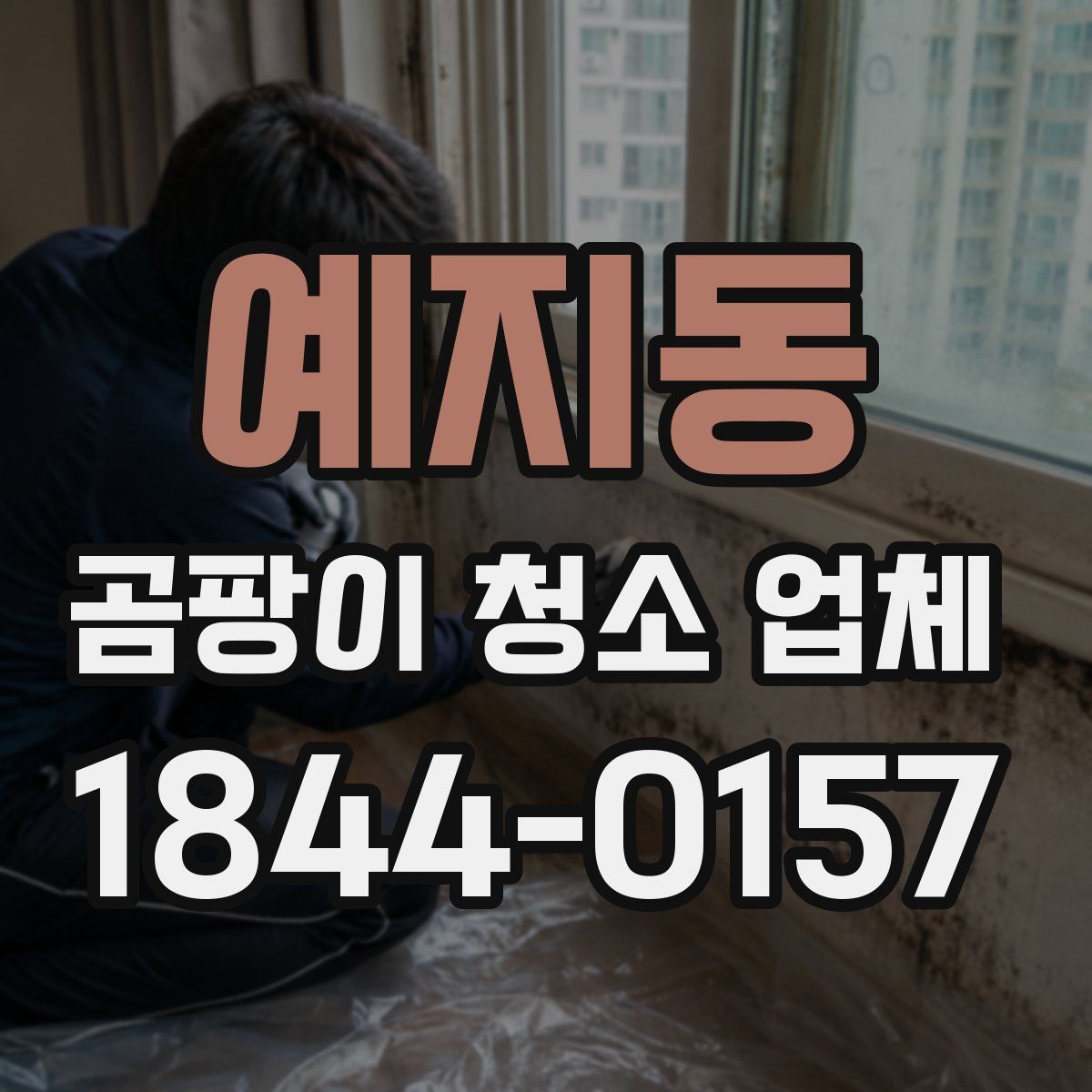 예지동 곰팡이 청소 업체