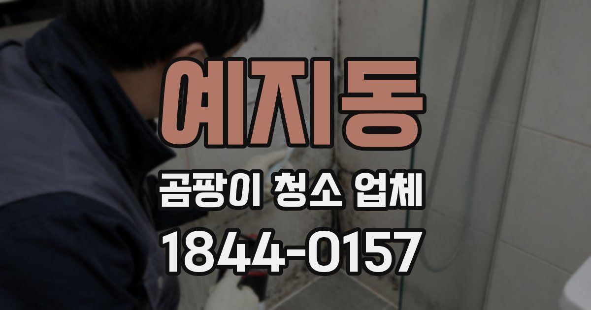 예지동 곰팡이 청소 업체