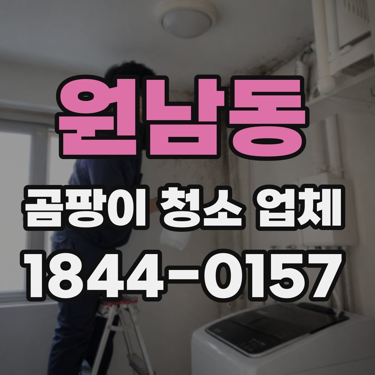 원남동 곰팡이 청소 업체