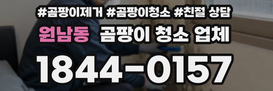 원남동 곰팡이 청소 업체