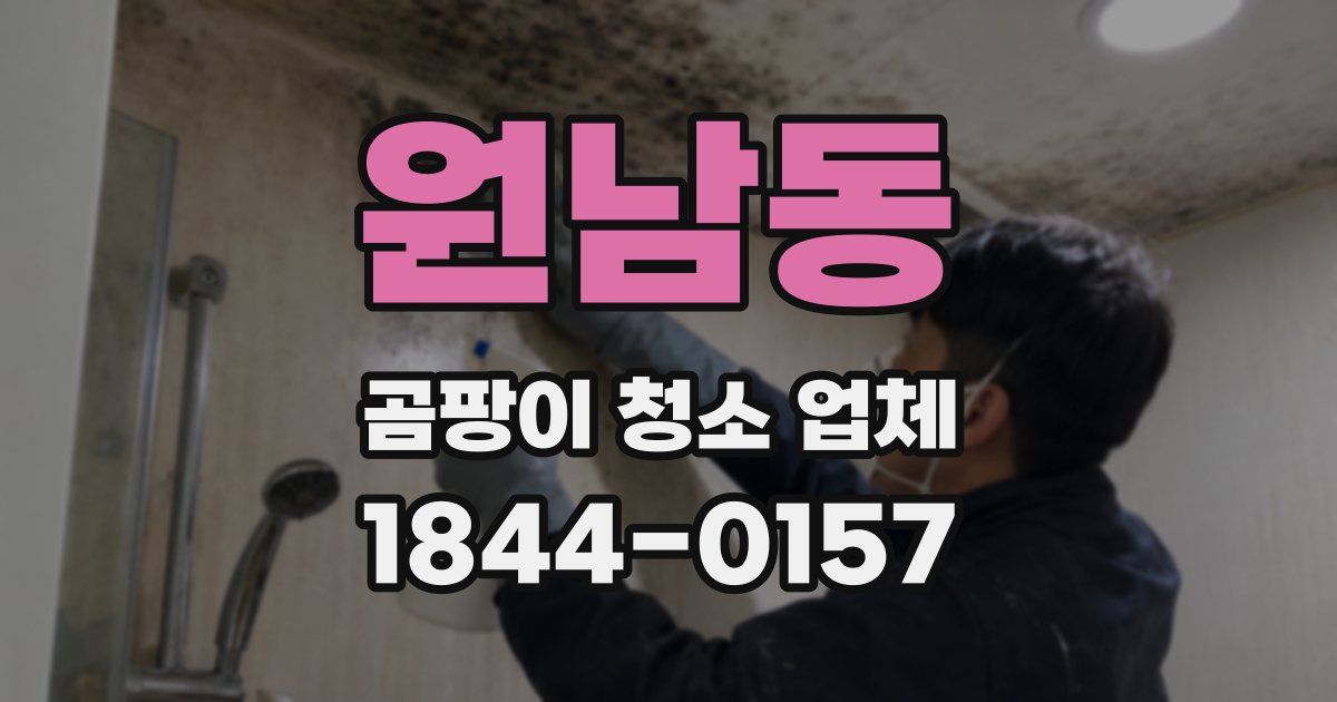원남동 곰팡이 청소 업체