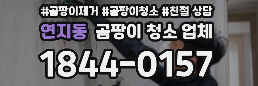 연지동 곰팡이 청소 업체