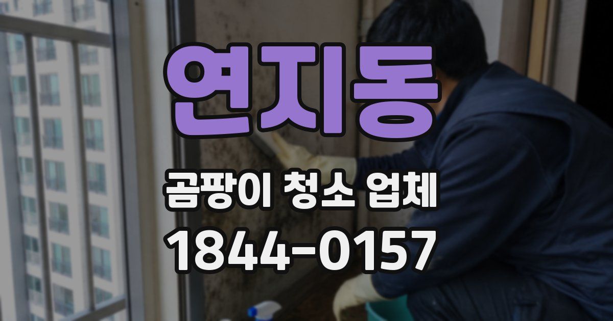 연지동 곰팡이 청소 업체