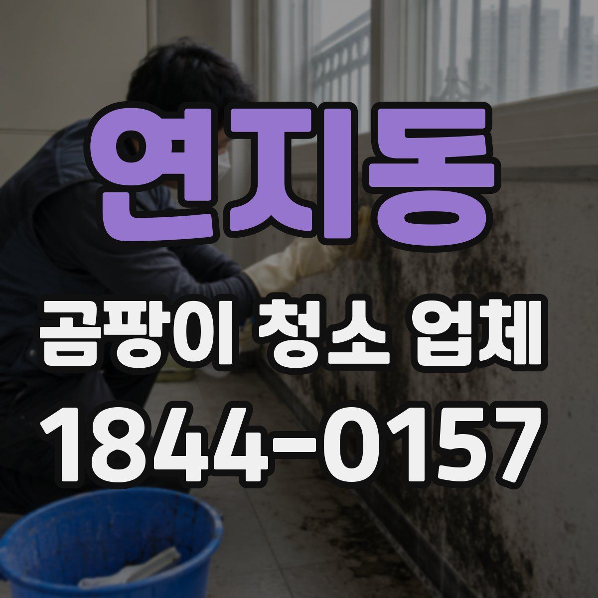 연지동 곰팡이 청소 업체