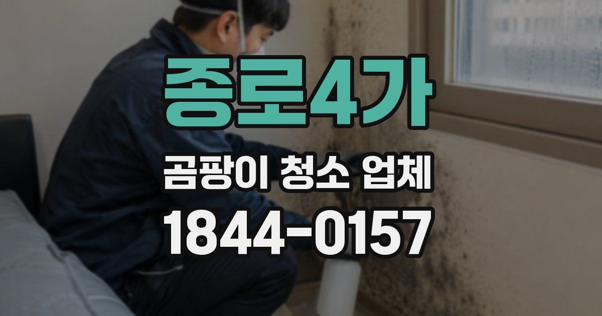 종로4가 곰팡이 청소 업체