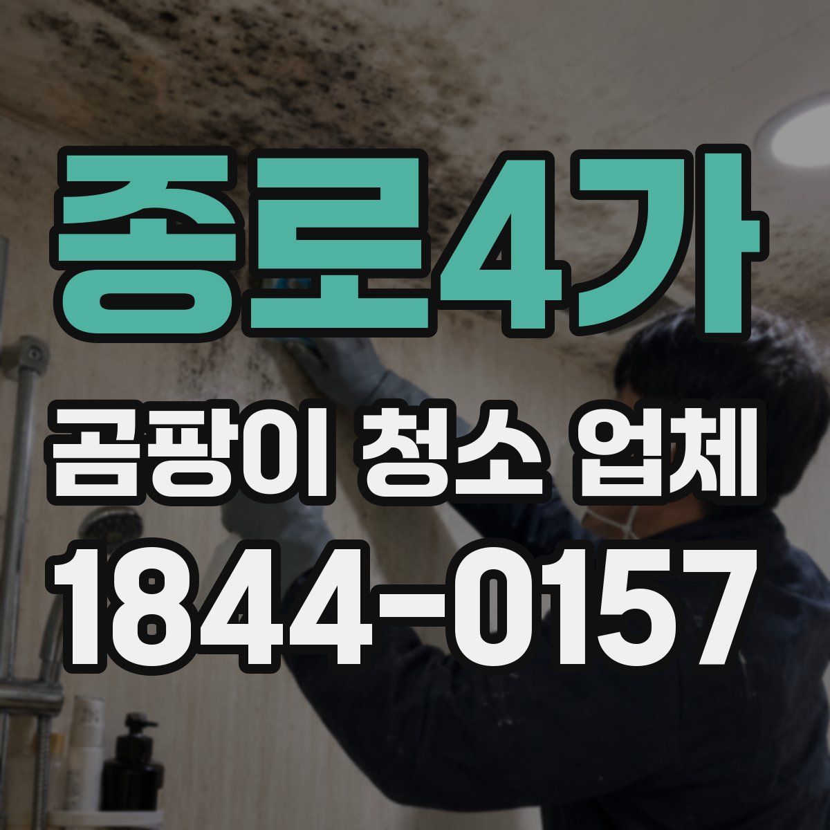 종로4가 곰팡이 청소 업체