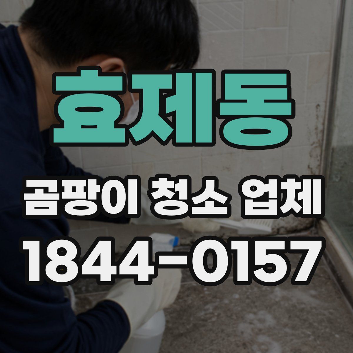 효제동 곰팡이 청소 업체