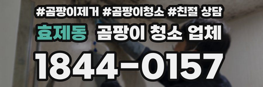 효제동 곰팡이 청소 업체