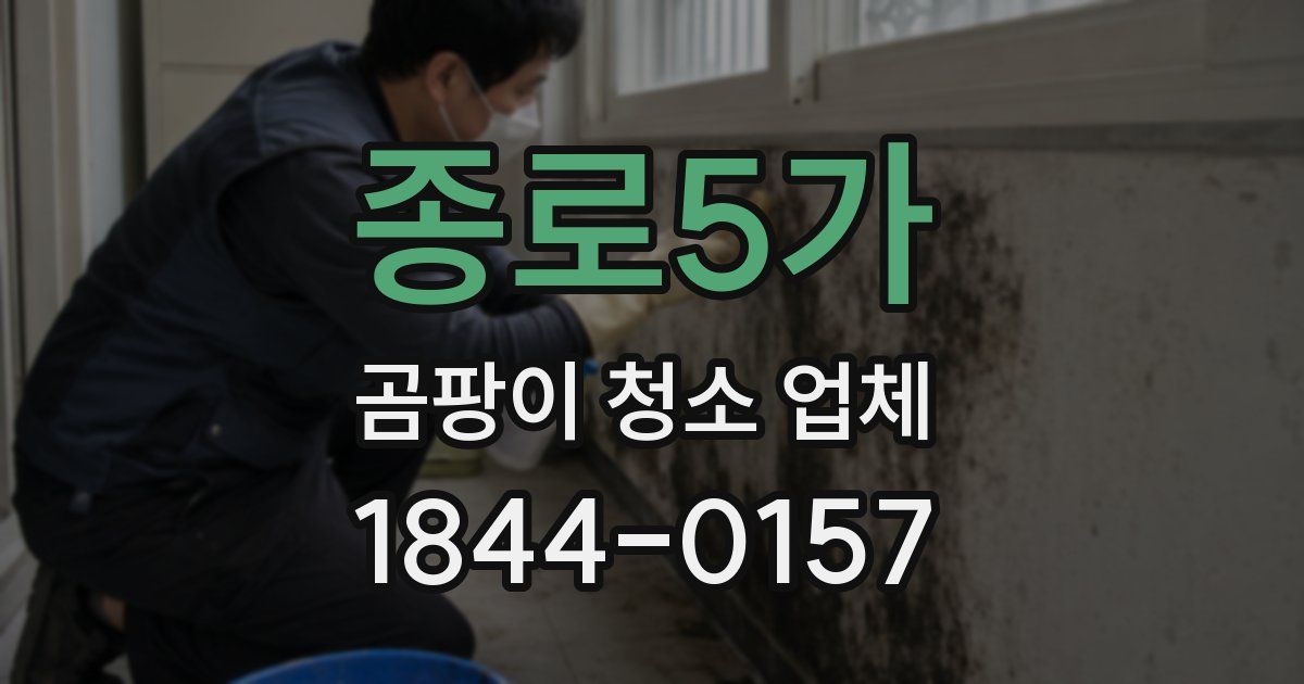 종로5가 곰팡이 청소 업체