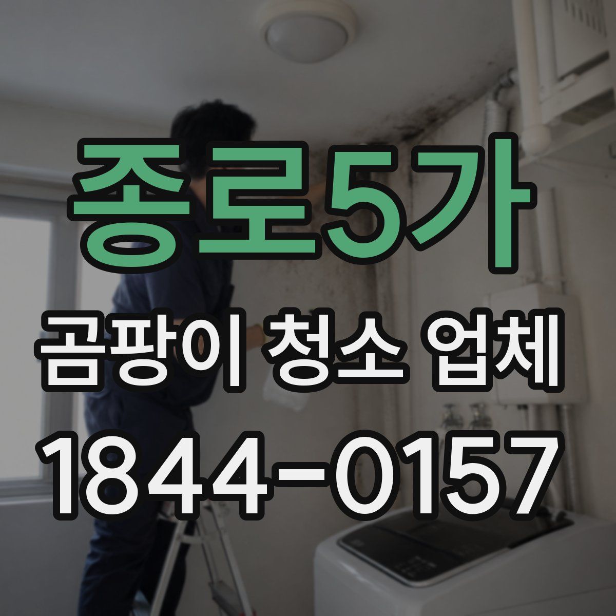종로5가 곰팡이 청소 업체