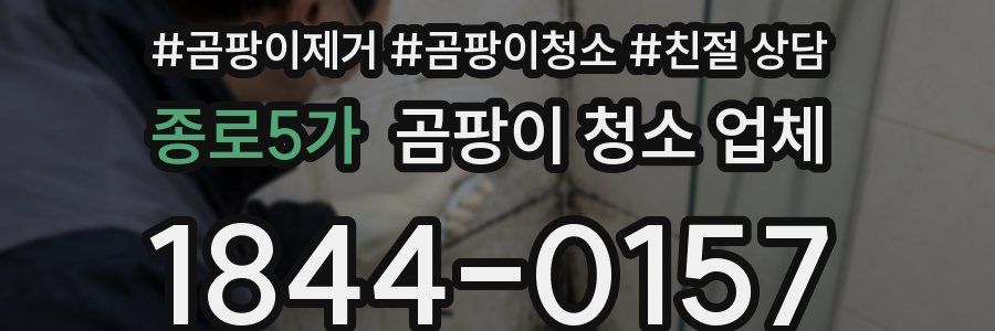 종로5가 곰팡이 청소 업체