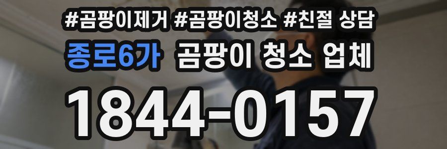 종로6가 곰팡이 청소 업체
