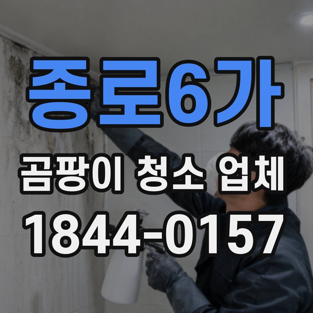 종로6가 곰팡이 청소 업체