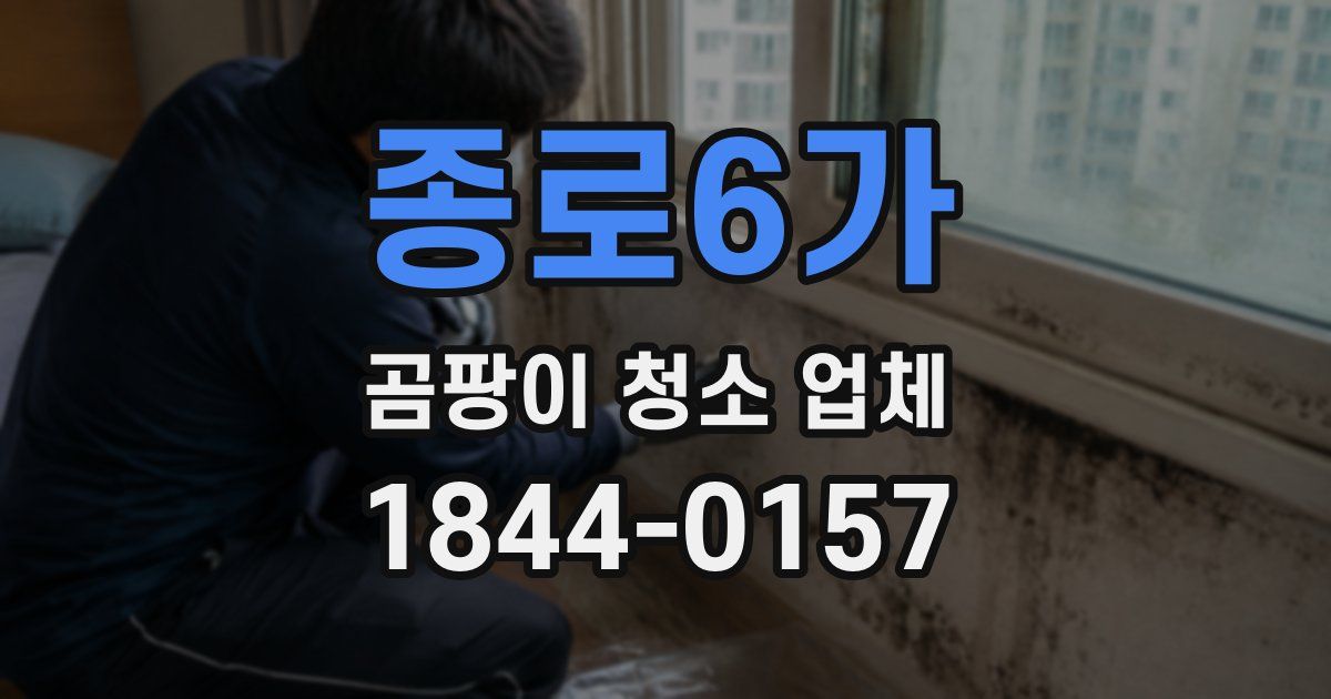 종로6가 곰팡이 청소 업체