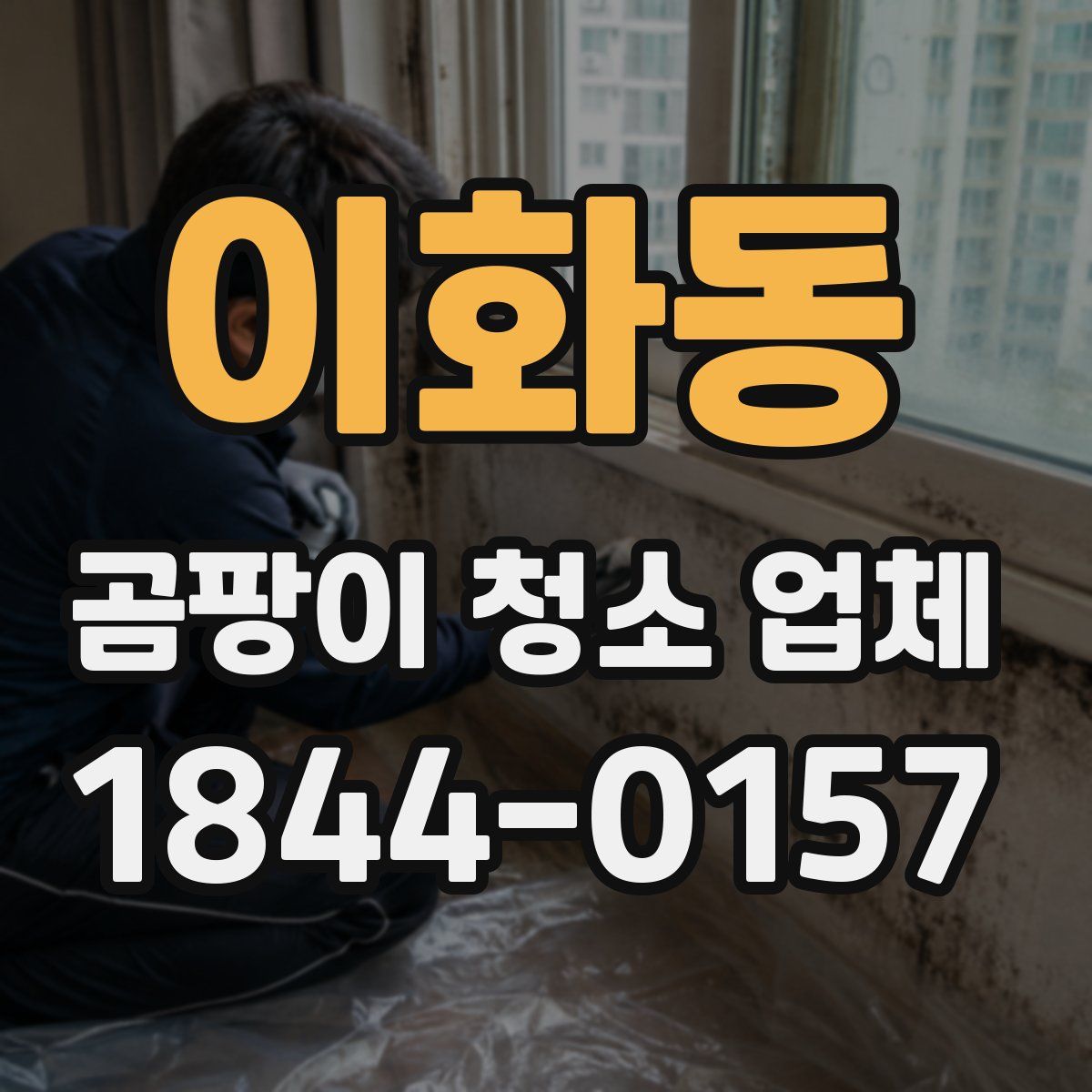 이화동 곰팡이 청소 업체