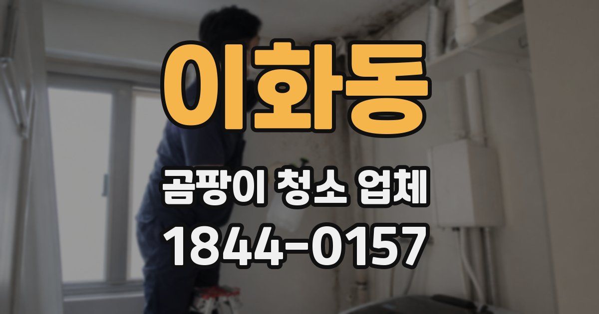 이화동 곰팡이 청소 업체