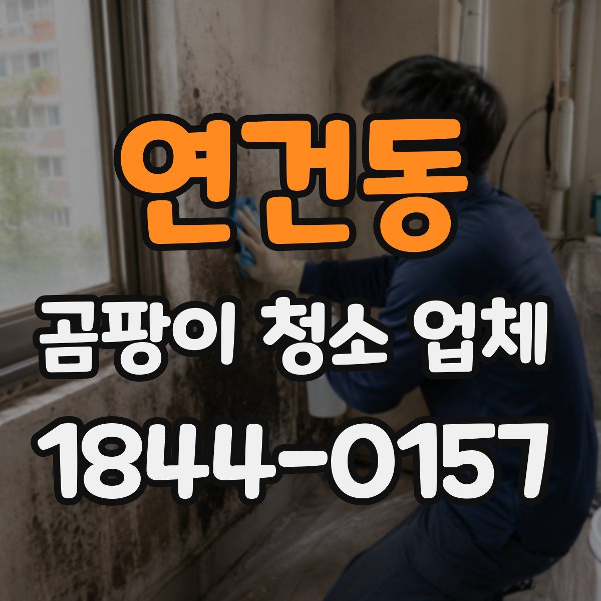 연건동 곰팡이 청소 업체