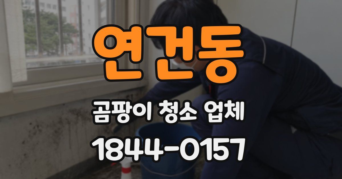 연건동 곰팡이 청소 업체