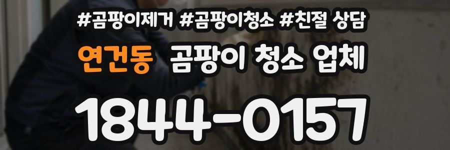 연건동 곰팡이 청소 업체