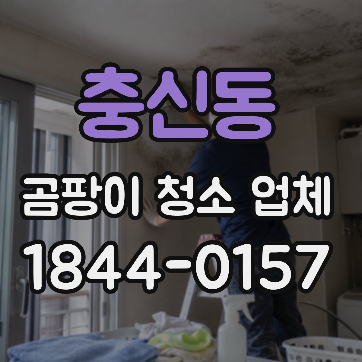 충신동 곰팡이 청소 업체