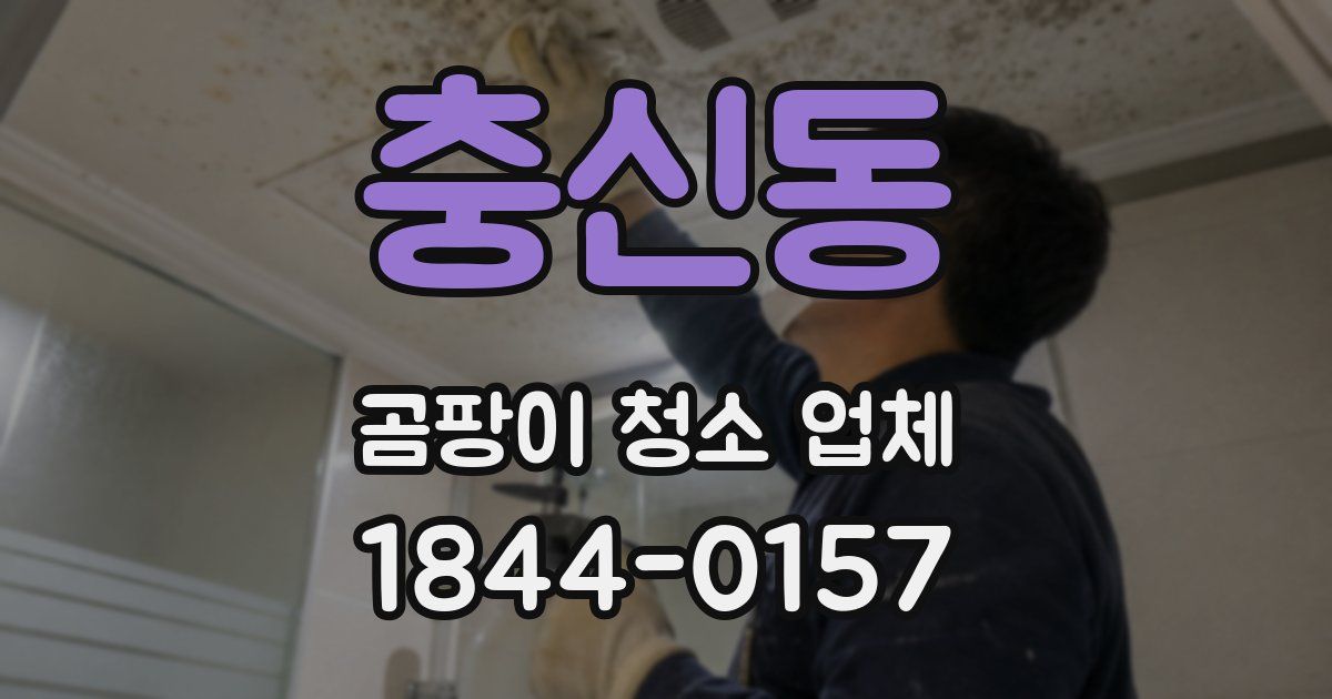 충신동 곰팡이 청소 업체