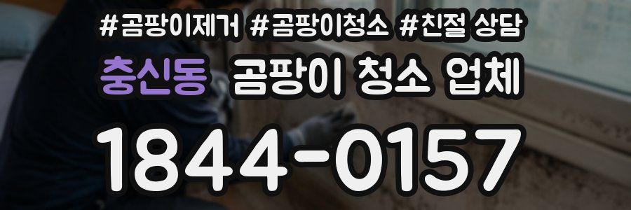 충신동 곰팡이 청소 업체