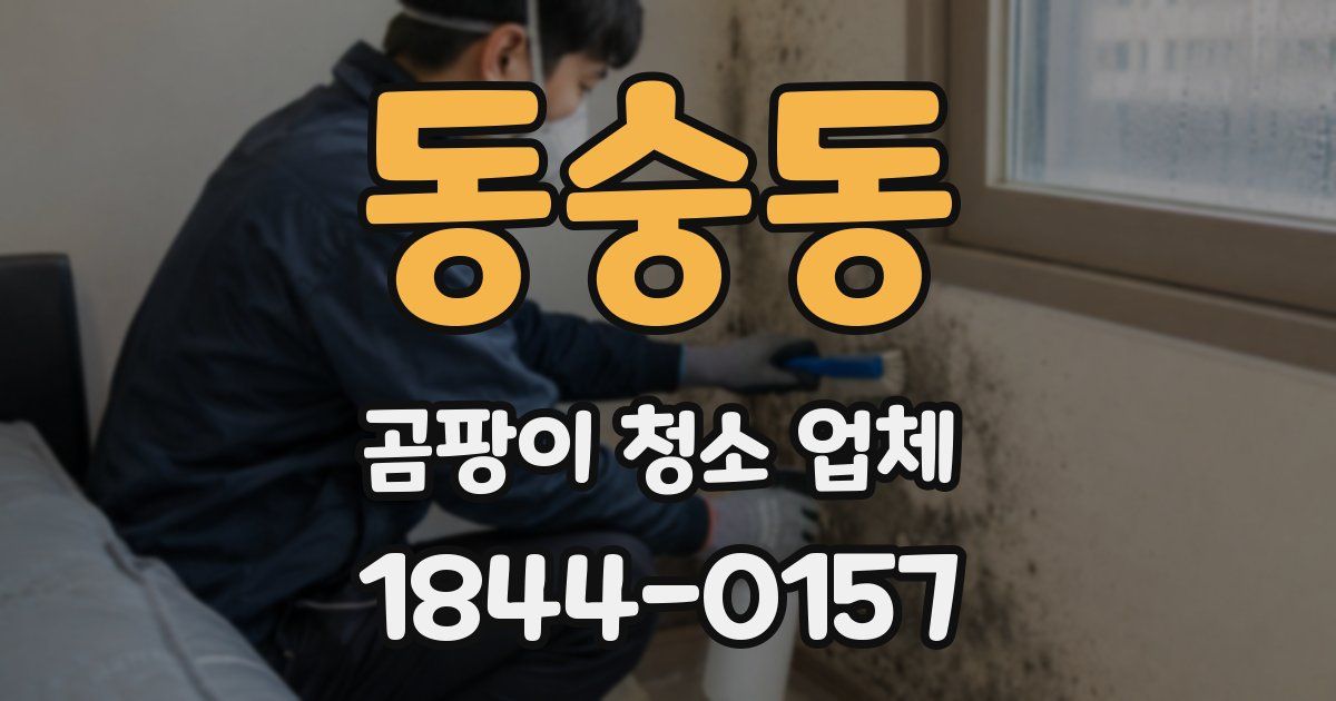 동숭동 곰팡이 청소 업체