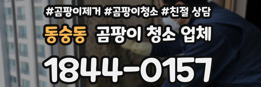 동숭동 곰팡이 청소 업체