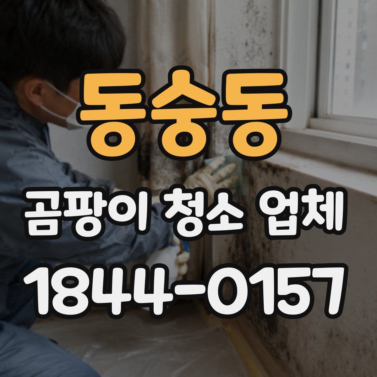 동숭동 곰팡이 청소 업체
