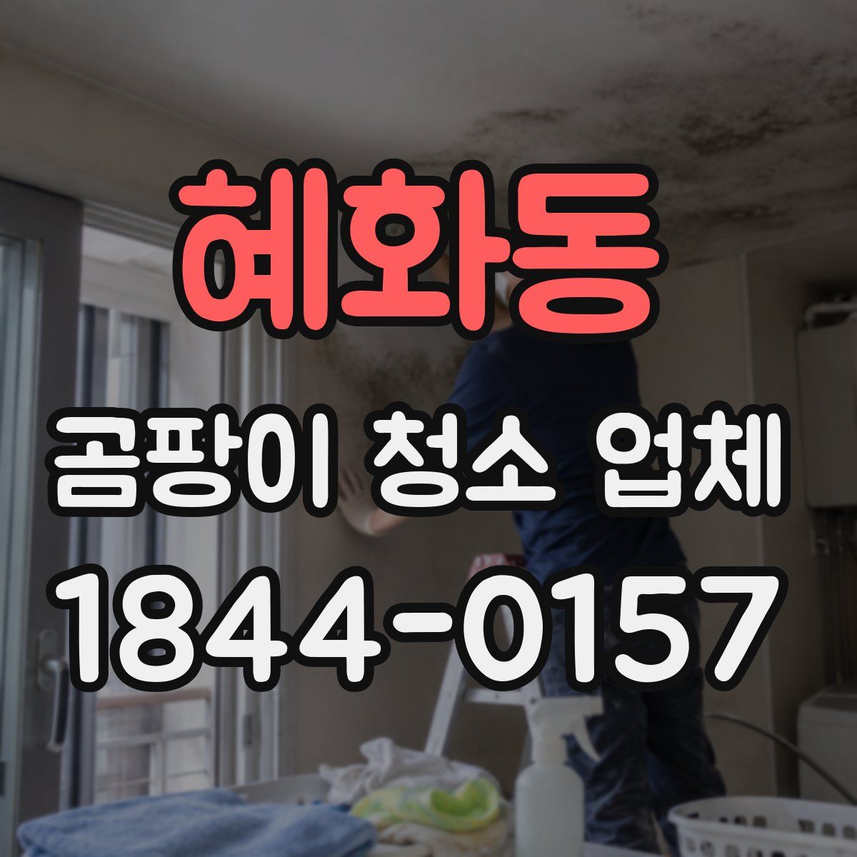혜화동 곰팡이 청소 업체