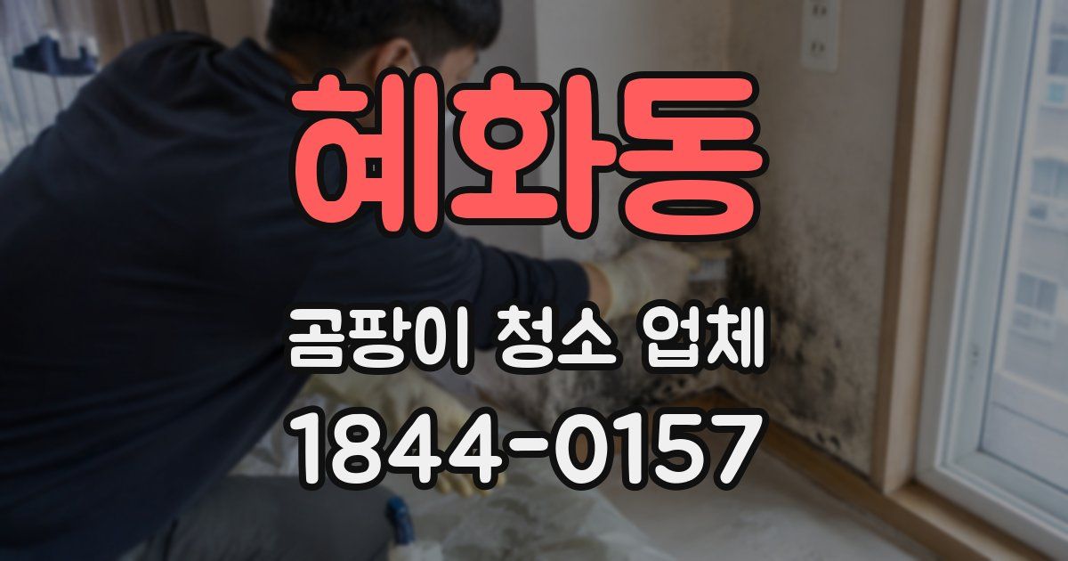 혜화동 곰팡이 청소 업체