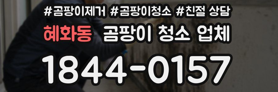 혜화동 곰팡이 청소 업체