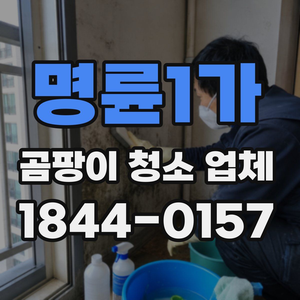 명륜1가 곰팡이 청소 업체