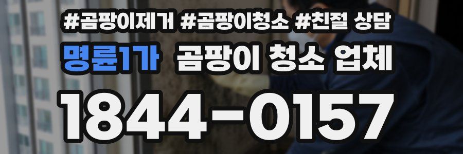 명륜1가 곰팡이 청소 업체
