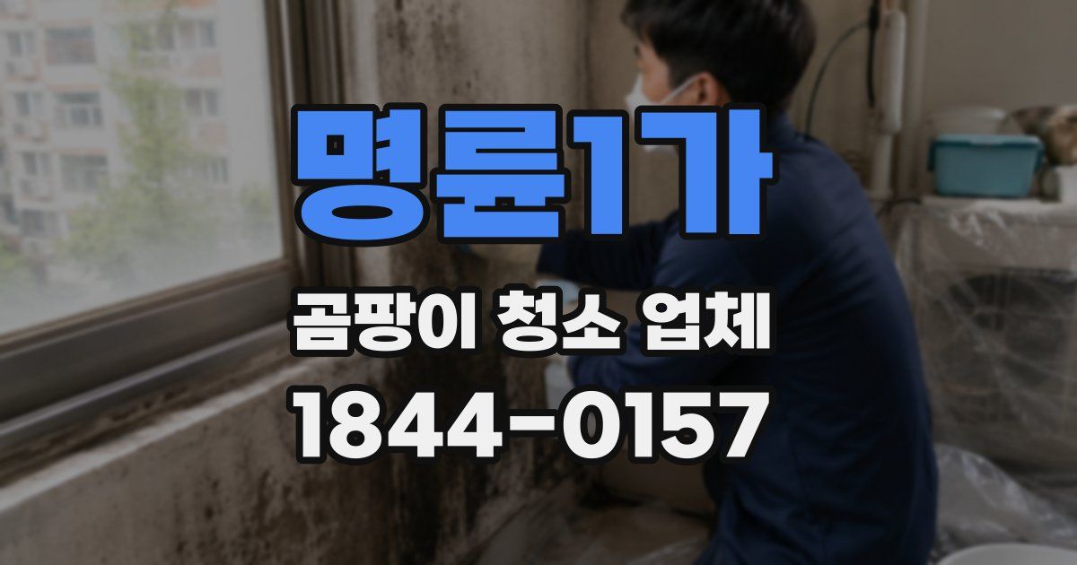 명륜1가 곰팡이 청소 업체
