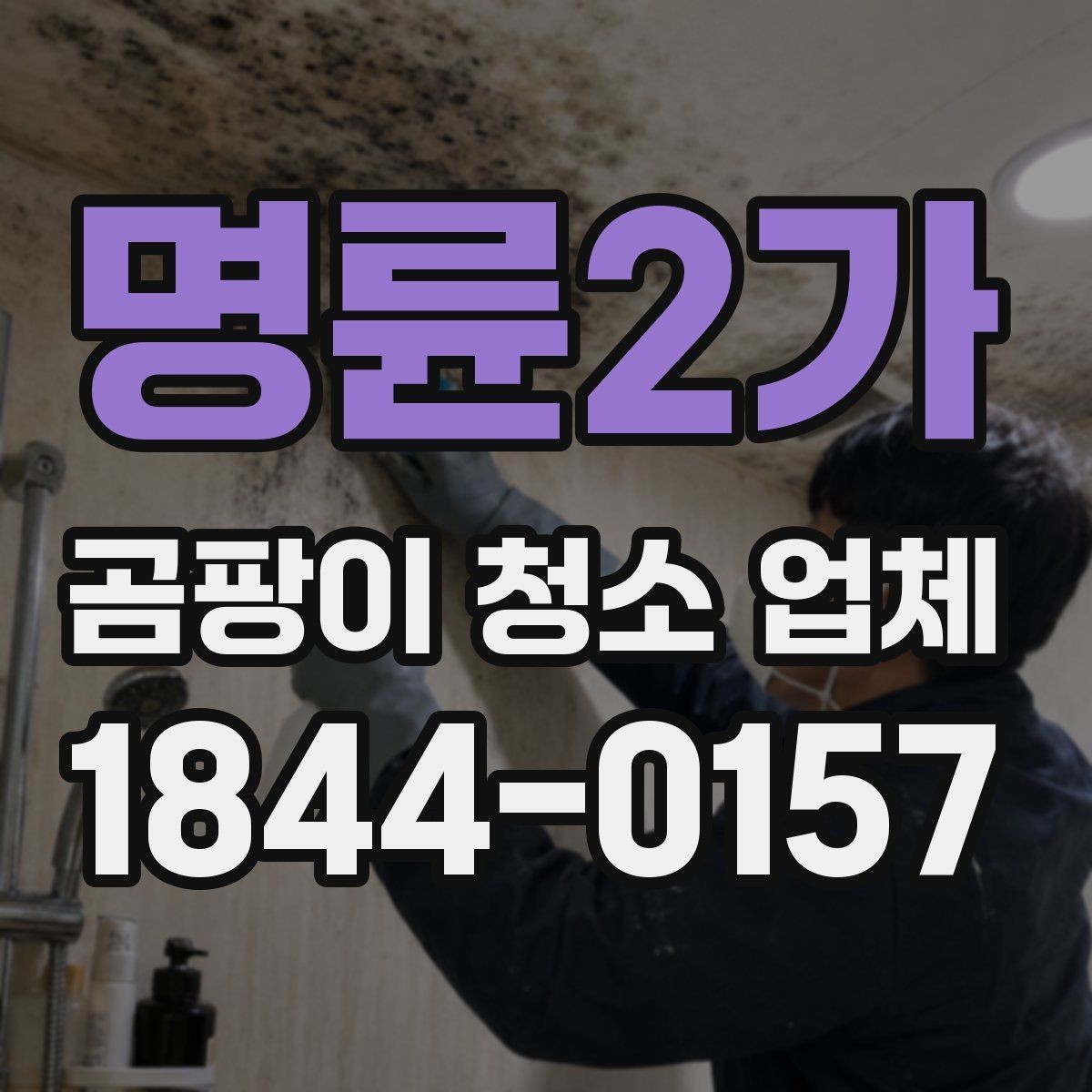 명륜2가 곰팡이 청소 업체 선택과 사후 관리까지 한 번에 보기