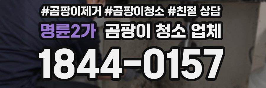 명륜2가 곰팡이 청소 업체