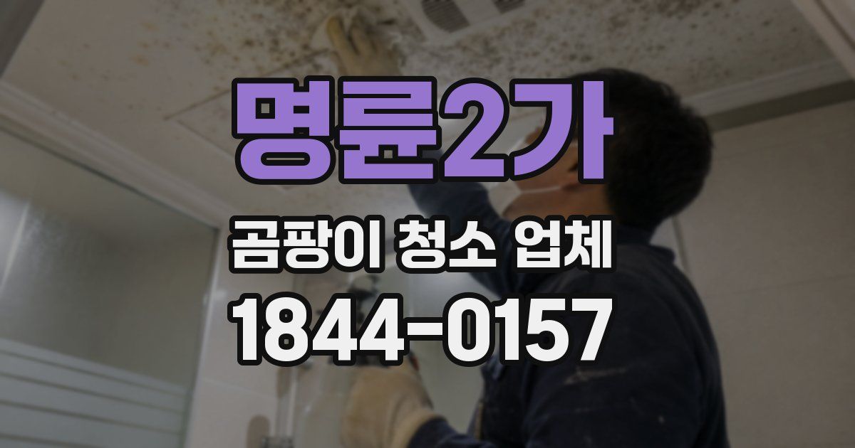 명륜2가 곰팡이 청소 업체