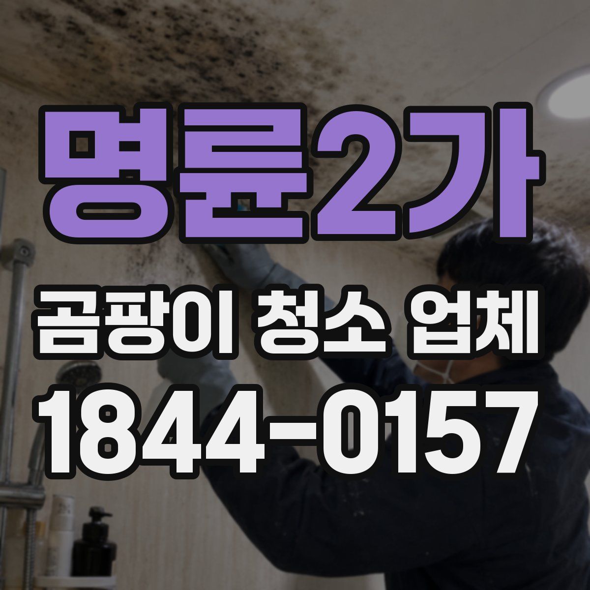 명륜2가 곰팡이 청소 업체