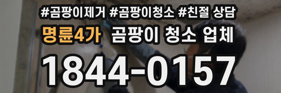 명륜4가 곰팡이 청소 업체
