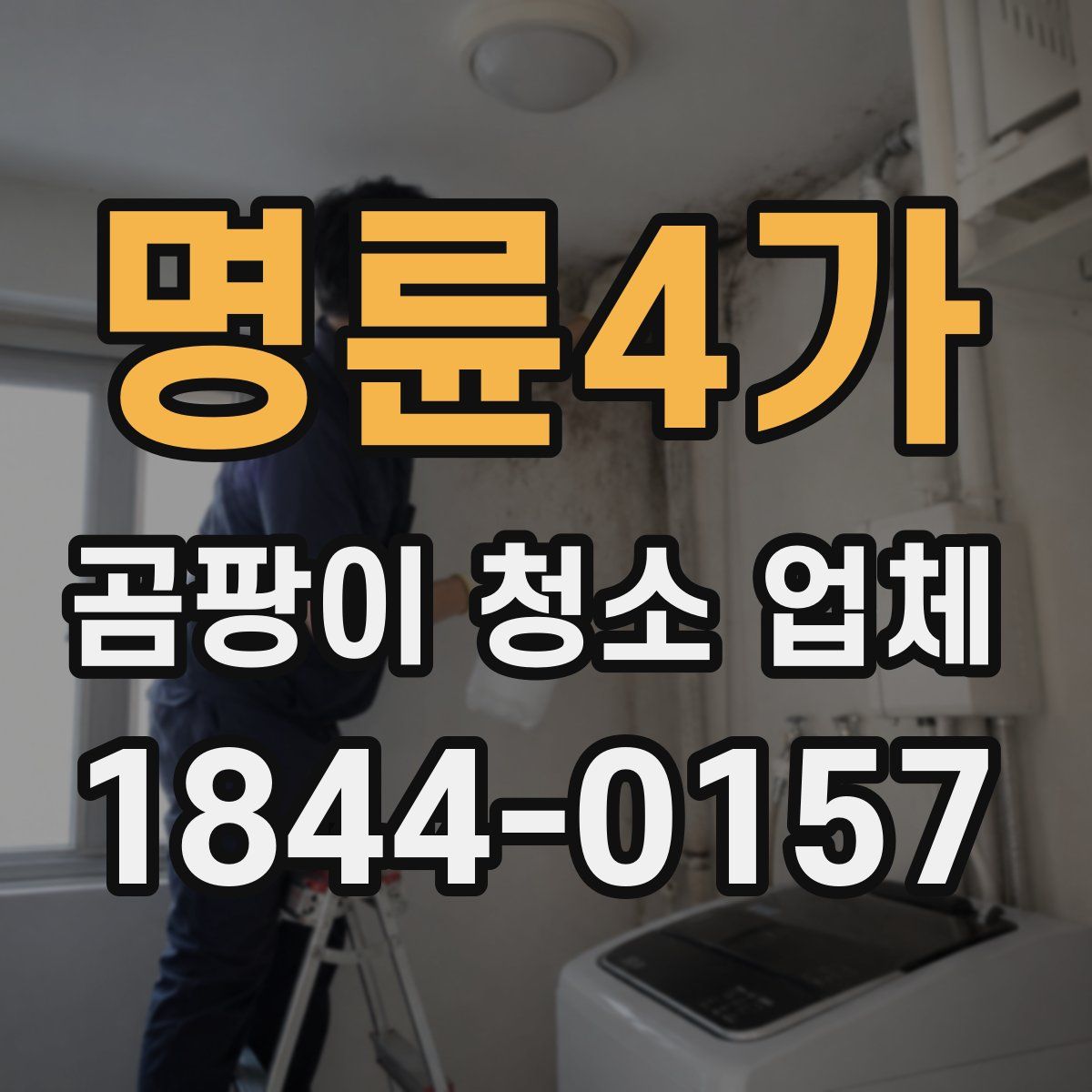 명륜4가 곰팡이 청소 업체