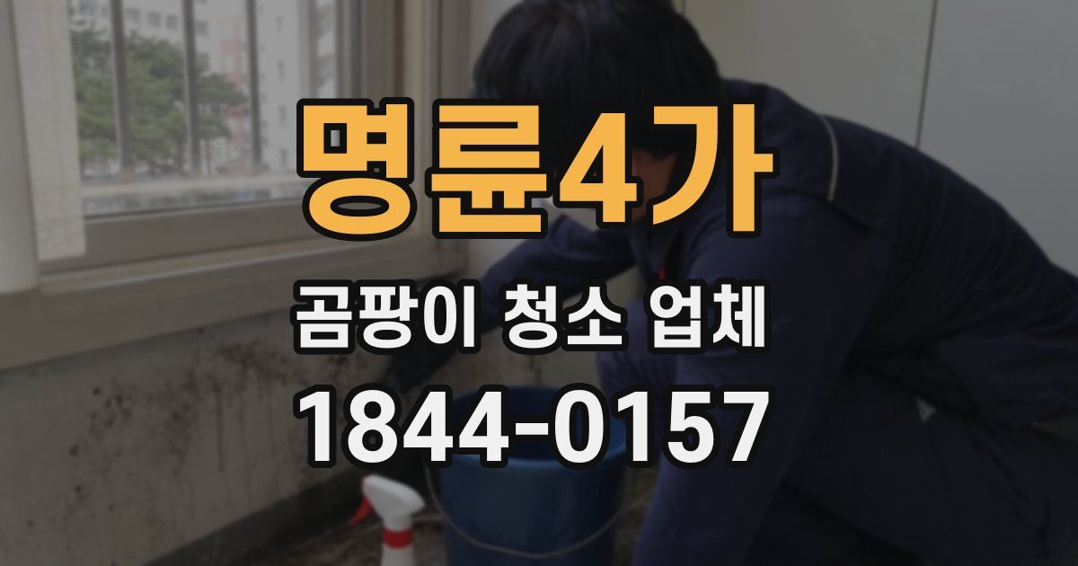 명륜4가 곰팡이 청소 업체