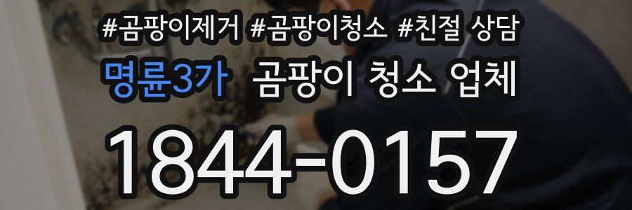 명륜3가 곰팡이 청소 업체