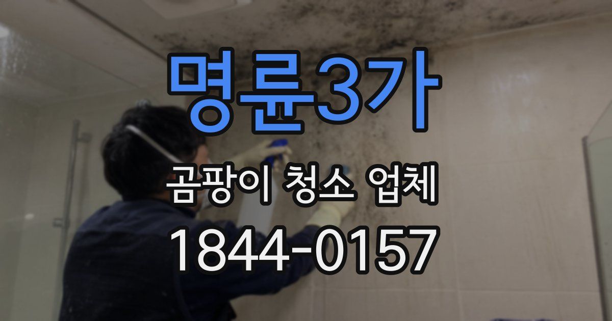 명륜3가 곰팡이 청소 업체