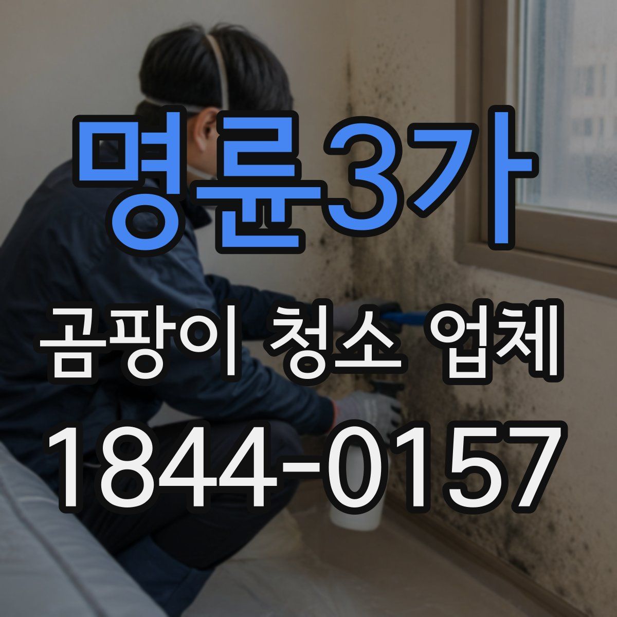 명륜3가 곰팡이 청소 업체