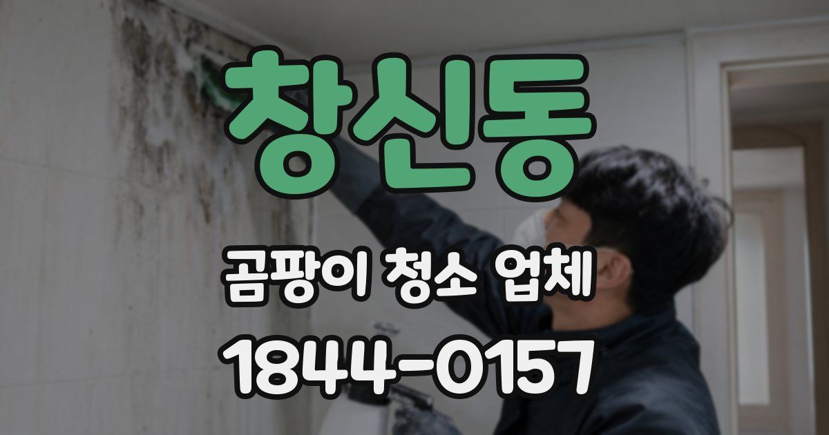 창신동 곰팡이 청소 업체